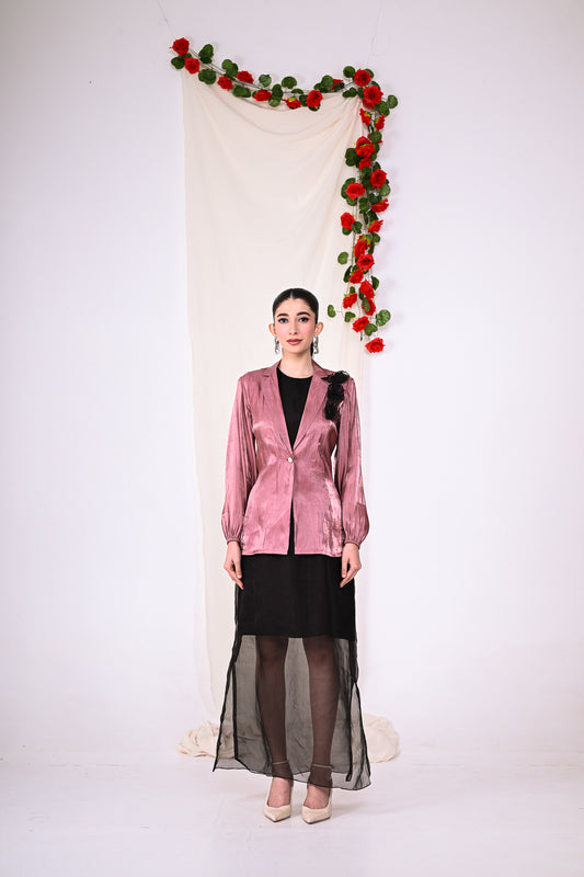 Organza Dress with Shirt