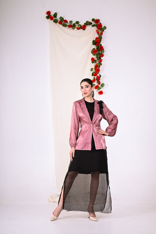 Organza Dress with Shirt