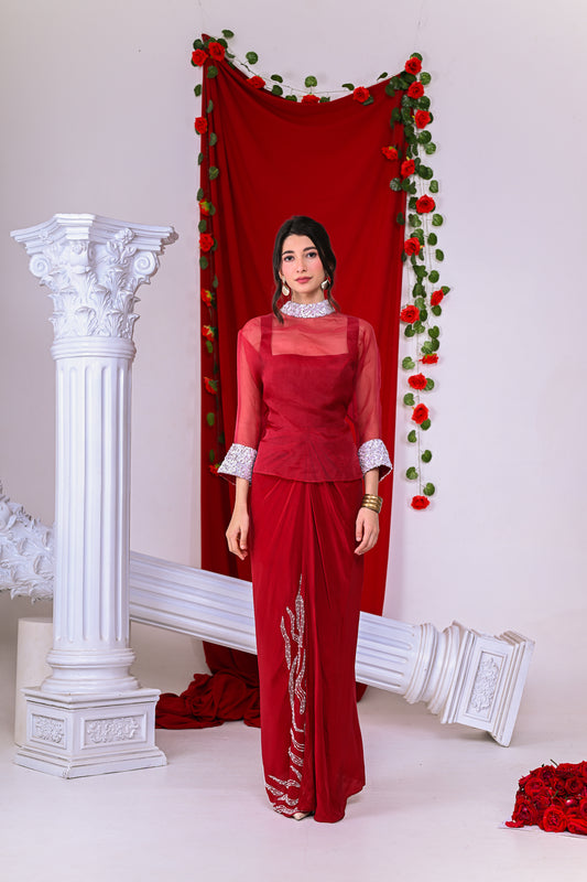 Red Embroidered Top and Skirt